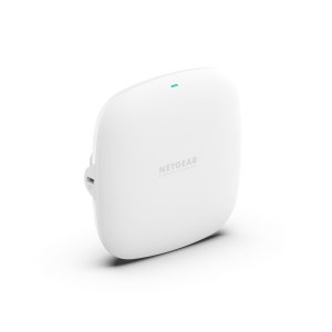 Netgear WAX210-100EUS